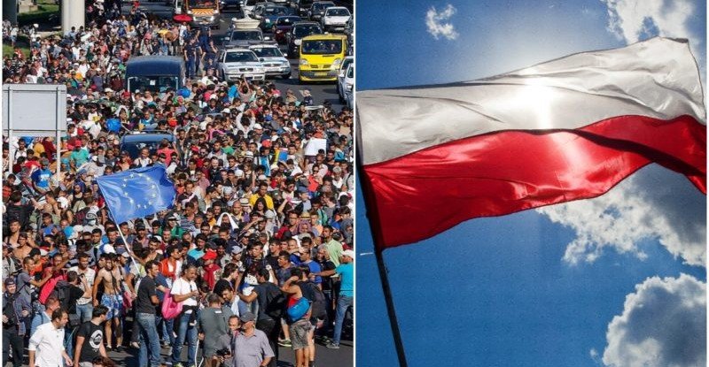imigranci-polska