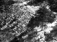 Katyn